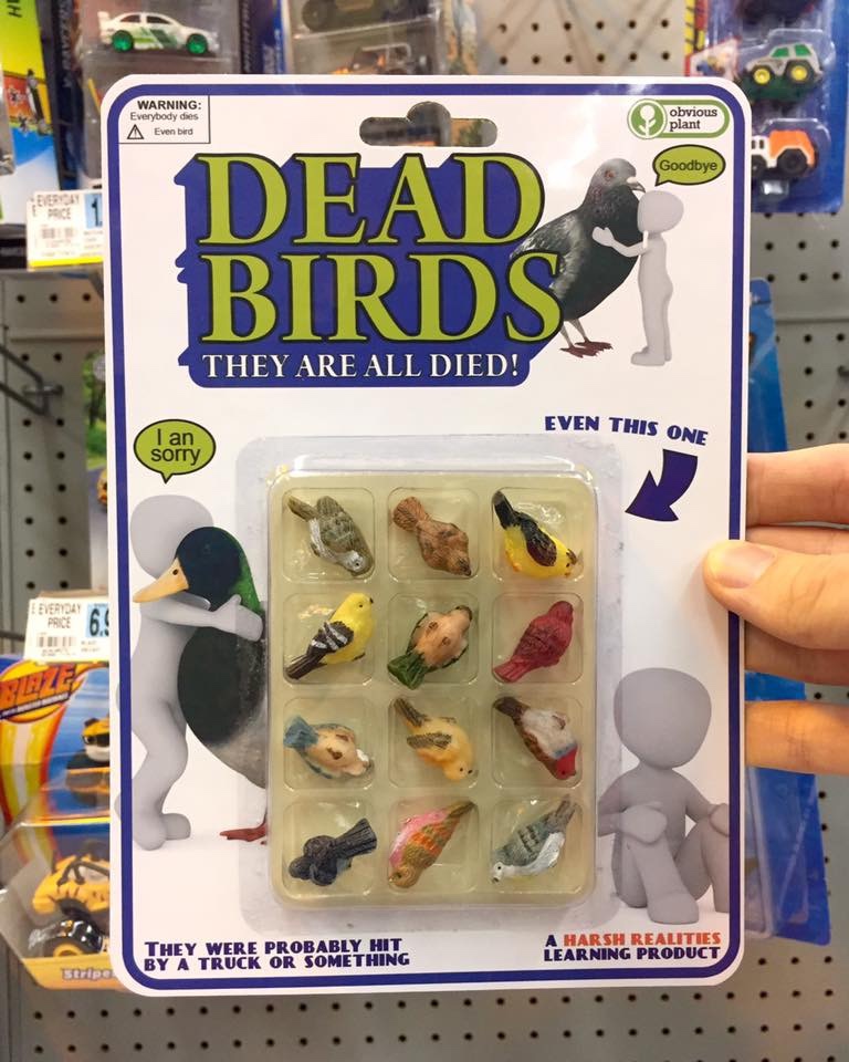 Dead birds