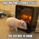 Advancement of Bacon
